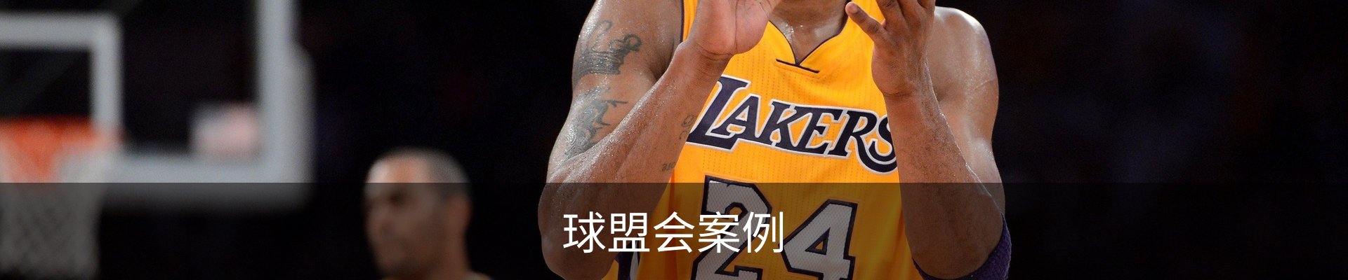 球盟会案例